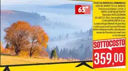 Emisfero TV 65" LG NANOCCELL offerta