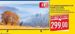 Emisfero TV 55" Samsung offerta