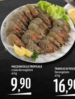 Emisfero Mazzancolla tropicale offerta