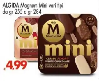 Magnum Mini
