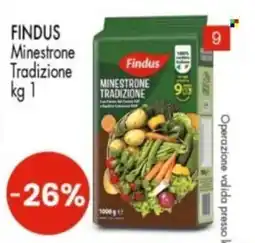 Despar Findus Minestrone Tradizione offerta