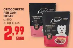 Panorama Crocchette per cani Cesar offerta