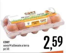 Emisfero Coky uova M allevate a terra offerta