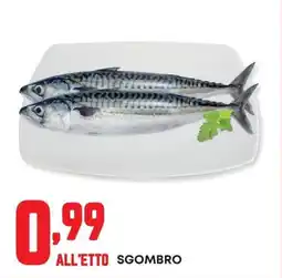 Panorama Sgombro offerta
