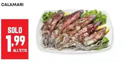 Panorama Calamari offerta