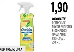 Carico Cash & Carry Coccolatevi detergente piccole superfici offerta