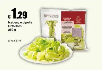 Iceberg e cipolla OrtoRomi