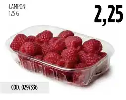 Carico Cash & Carry Lamponi offerta