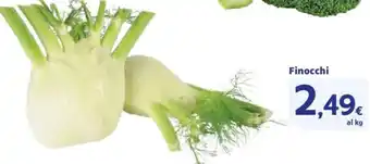 Finocchi