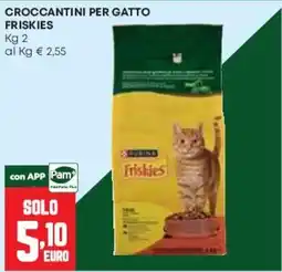 Pam Crocchettini per gatto Friskies offerta
