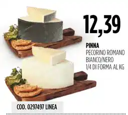 Carico Cash & Carry Pinna pecorino romano bianco/nero offerta