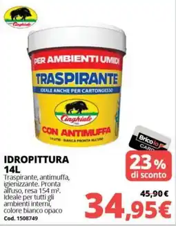 Brico Io Idropittura Cinghiale offerta