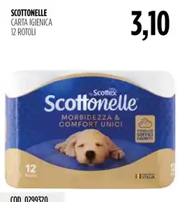Carico Cash & Carry Scottonelle carta igienica offerta
