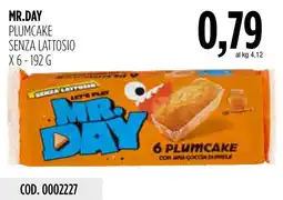 Carico Cash & Carry Mr. Day plumcake senza lattosio offerta