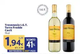 Sigma Trevenezie I.G.T. Terre Fredde Cavit offerta