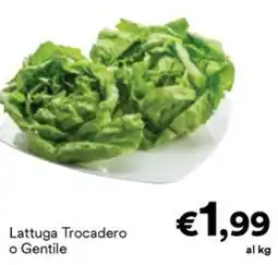 Unes Lattuga Trocadero o Gentile offerta