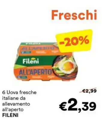 Uova fresche italiane da allevamento all'aperto Fileni