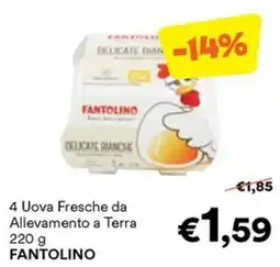 Unes Uova Fresche da Allevamento a Terra FANTOLINO offerta
