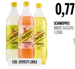 Carico Cash & Carry Schweppes bibite gassate offerta