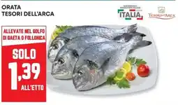 Pam Orata Tesori dell'Arca offerta