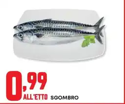 Pam Sgombro offerta