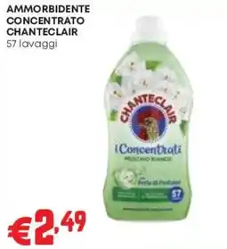 Pam Ammorbidente concentrato Chanteclair offerta