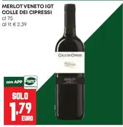 Pam Merlot Veneto IGT Colle dei Cipressi offerta