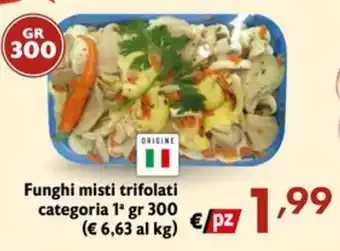 Funghi misti trifolati