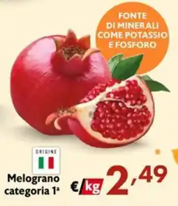 Eurospesa Melograno categoria 1ª offerta