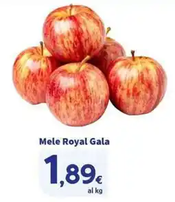 Sigma Superstore Mele Royal Gala offerta