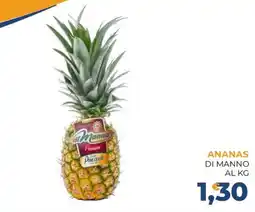 Moderna Ananas di Manno offerta