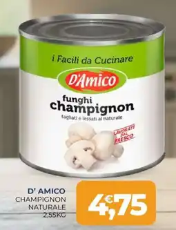 Moderna D'Amico funghi champignon offerta