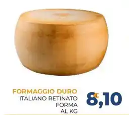 Moderna Formaggio duro italiano retinato forma offerta