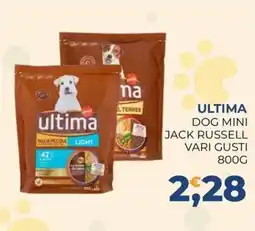 Moderna Ultima dog mini jack russell vari gusti offerta