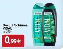 Docks Cash&Carry Doccia Schiuma Vidal offerta