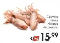 SuperW Calamaro verace Marocco offerta