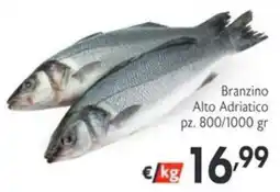 SuperW Branzino Alto Adriatico offerta