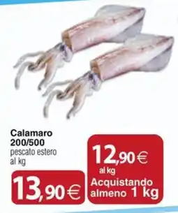 Docks Cash&Carry Calamaro offerta