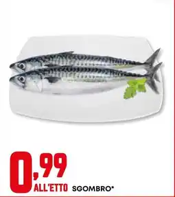 Kanguro Sgombro* offerta