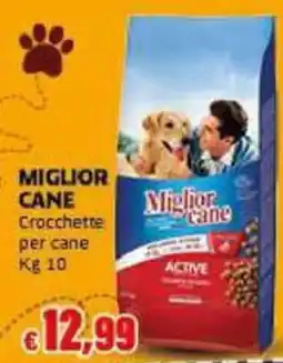 Mercati Alimentari Miglior cane Crocchette per cane offerta