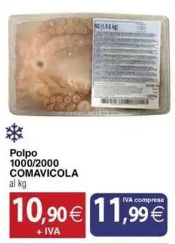 Docks Cash&Carry Polpo COMAVICOLA offerta