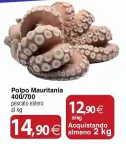 Docks Cash&Carry Polpo Mauritania offerta