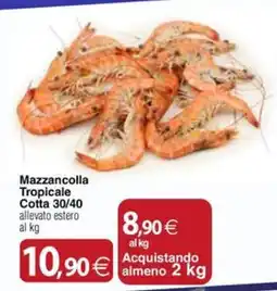Docks Cash&Carry Mazzancolla Tropicale Cotta offerta