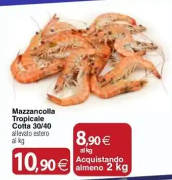 Docks Cash&Carry Mazzancolla Tropicale Cotta offerta