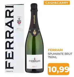 Moderna Ferrari Spumante Brut offerta
