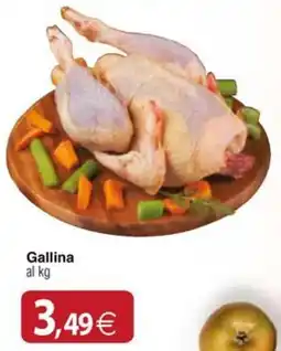 Docks Cash&Carry Gallina offerta