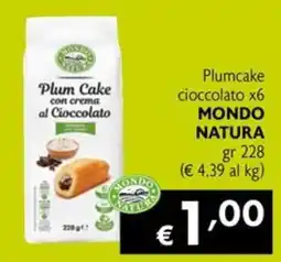 Eurospesa Plum Cake con crema al Cioccolato MONDO NATURA offerta