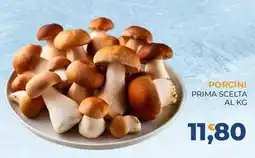Moderna Porcini Prima Scelta offerta
