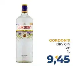 Moderna Gordon's dry gin offerta