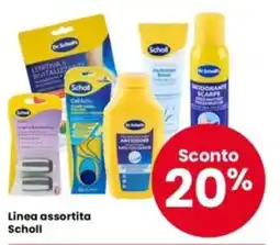 Interspar Linea assortita Scholl offerta